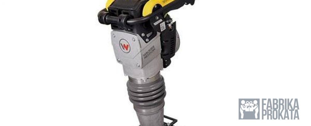 Rent a tamper Wacker Neuson BS 60-2i (Germany)